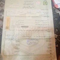 سندخودرو پراید ۱۳۲ کم شده