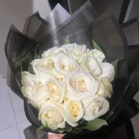 دسته گل فقط ۵۰۰|گل و گیاه طبیعی|کرمان, |دیوار