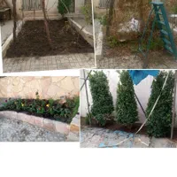 باغبانی هرس گل و نهال کاری جابجایی نهال درخت|خدمات باغبانی و درختکاری|مشهد, توس (بلوار توس)|دیوار