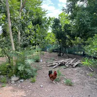 فروش خانه ویلایی ۵۵۰ متری با بنای ۱۰۰ متری|فروش خانه و ویلا|رضوانشهر, |دیوار