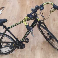 دوچرخه کورسی مسابقه ای|دوچرخه، اسکیت، اسکوتر|بوشهر, |دیوار