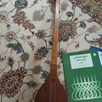 سه تار|سازهای سنتی|شیراز, فرهنگ شهر|دیوار