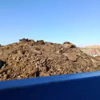 کود حیوانی گوسفندی