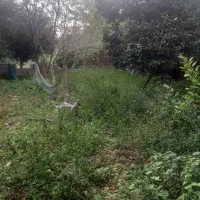 زمین۳۵۰متریمسکونیمستسنیاتدردلجنگلروستای|فروش زمین و ملک کلنگی|ماسال, |دیوار