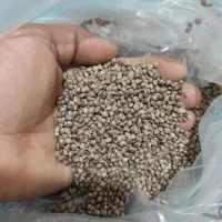 غذای خانگی موجود است