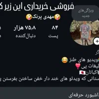 پیج انیستا