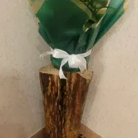 پایه گلدان تنه درخت|صنایع دستی و سایر لوازم تزئینی|رودسر, |دیوار