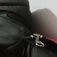 پافر کاپشن پالتو|لباس|قم, آذر (نکویی)|دیوار
