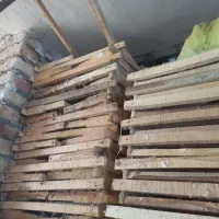 کندو وقوطی وبدنه|لوازم جانبی حیوانات|ماکو, |دیوار