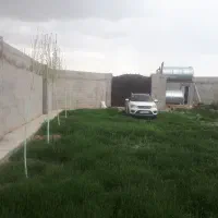 باغ چهار ساله با درختان میوه