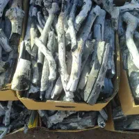 پخش زغال پسته|عمدهفروشی|تهران, ستارخان|دیوار