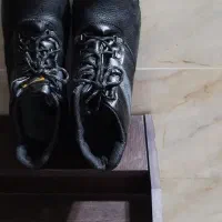 کفش ایمنی