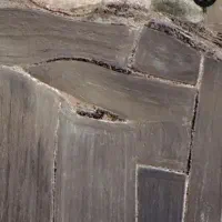 فروش یک قطعه زمین کشاورزی