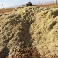 کاه لوبیا