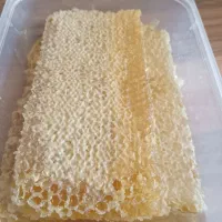 عسل طبیعی کوهی آذربایجان