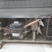 فریزر / تک در /|فروشگاه و مغازه|کردکوی, |دیوار