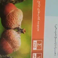 کتاب تست دوازدهم میکرو نشر الگو خیلی سبز|کتاب و مجله آموزشی|تهران, پاسداران|دیوار