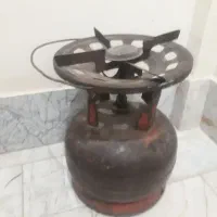 کپسول و پیکنیک