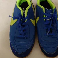 کتونی سالنی