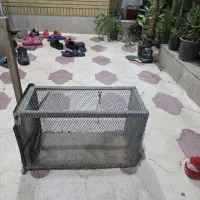 تله گربه و سمور گیری