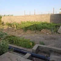 فروش باغ فوری