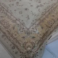 فرش ۱۲ متری|فرش|مشهد, هفت تیر (نه دره)|دیوار