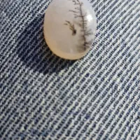 سنگ شجر تراش خورده