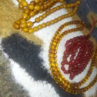 دوتا کهربا یدونه سندلوس به فروشی میرسد