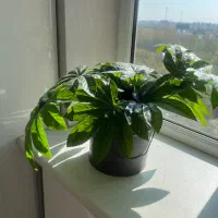 گل و‌گلدان مصنوعی بسیار شیک ترک