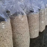 فروش تفاله چغندر پرس