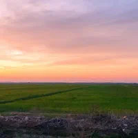 اجاره زمین کشاورزی