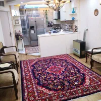واحد 49 متری بهترین نقطه شهرک ولیعصر بازرگان|فروش آپارتمان|تهران, شهرک ولیعصر شمالی|دیوار