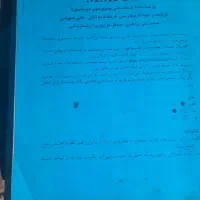 کاغذ باطله|عمدهفروشی|شیراز, فرهنگ شهر|دیوار