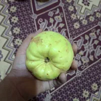 به تازه