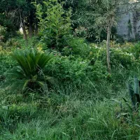 زمین سنگر مسکونی پروانه ۷۰متری
