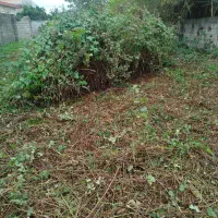 چمنزنی و علفزنی با دستگاه|خدمات باغبانی و درختکاری|لولمان, |دیوار