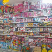 پخش اسباب بازی و عروسک پولشی یگانه|اسباببازی|بیرجند, |دیوار