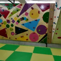 دیواره کوهنوردی،سنگنوردی سالنی|تجهیزات ورزشی|شیراز, آزادگان|دیوار