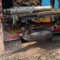 برش و خرید چوب|خدمات باغبانی و درختکاری|اندیمشک, |دیوار