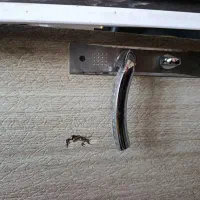 درب  حمام توالت ضد  آب با چهار چوب فلزی