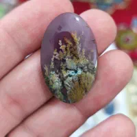 عقیق شجر طبیعی سایز بزرگ گردنبند|کلکسیون اشیاء عتیقه|یزد, |دیوار