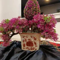 گل مصنوعی با گلدان در حد نو|گل مصنوعی|رشت, رشتیان|دیوار