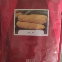 صالح بذر اصفهان|خدمات باغبانی و درختکاری|اصفهان, ستار|دیوار