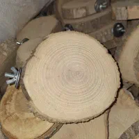 نشیمنگاه کالباسی پرنده عمده