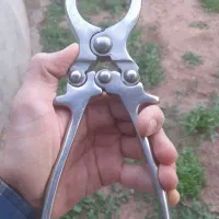 قیچی یا انبر اخته