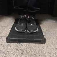 تولید کننده سینی نشا باکس نشا سبد نشا املش