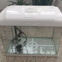 آکواریوم|ماهی|ایلام, |دیوار