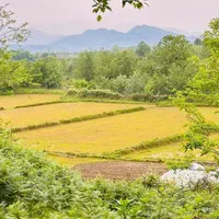 خونه روستایی تلاردار/سنددار|فروش خانه و ویلا|احمدسرگوراب, |دیوار