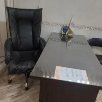 منشی خانم