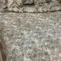 روتختی نو نو